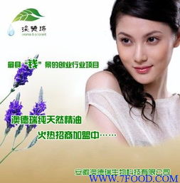 美容院创新经营模式与高盈利项目招商信息解析