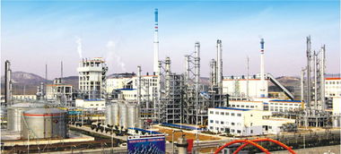 三煤化工技术开发项目顺利通过专家鉴定验收